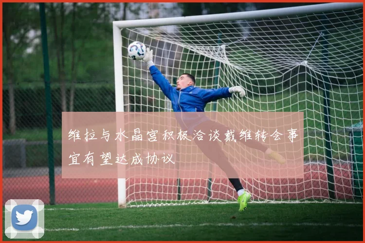 维拉与水晶宫积极洽谈戴维转会事宜有望达成协议